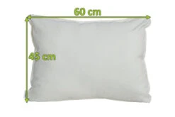 OUTFLEXX Dekokissen, 10014 Nature, Sunbrella, 60 X 45 Cm, Bei 40 °C Waschbar, Z.B. Passend Zu Lounge 21865/23403 5 OUTFLEXX Dekokissen, 10014 Nature, Sunbrella, 60 X 45 Cm, Bei 40 °C Waschbar, Z.B. Passend Zu Lounge 21865/23403 -Gartenmöbel 23456 mass.jpg