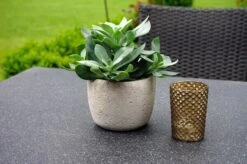 Ploß Rocking Dining Tisch, Grau/braun-meliert, Polyrattan, 90 X 90 Cm, Glasplatte In Steinoptik -Gartenmöbel 4 20156.jpg