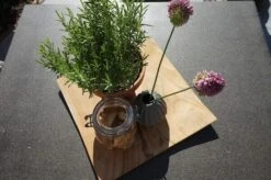 Ploß Rabida Dining Tisch, Champagner-meliert, Polyrattan, 90 X 90 Cm, Glasplatte In Steinoptik 12 Ploß Rabida Dining Tisch, Champagner-meliert, Polyrattan, 90 X 90 Cm, Glasplatte In Steinoptik -Gartenmöbel 4 20166.jpg